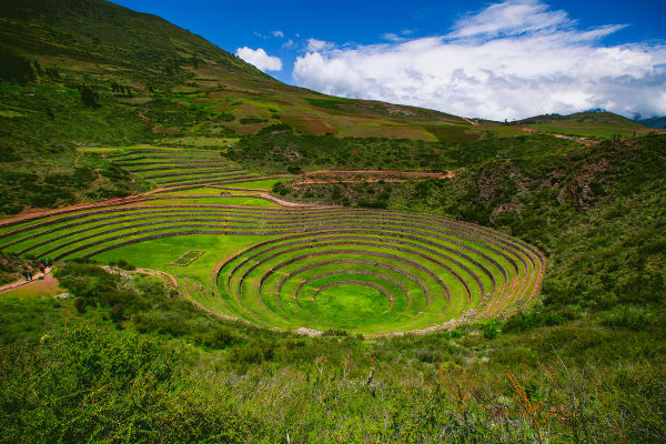 Curvas de nível é o nome que se dá à técnica de cultivo utilizada pelos incas.