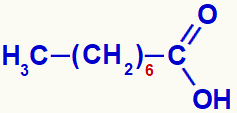 Fórmula estrutural do ácido caprílico