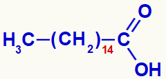 Fórmula estrutural do ácido palmítico