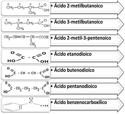 Exemplos de nomenclaturas oficiais de alguns ácidos carboxílicos