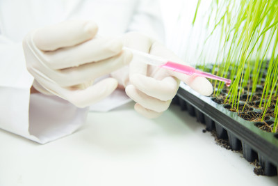 A biotecnologia aplicada à agricultura tornou as plantas e sementes mais resistentes e aumentou a produtividade