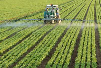 Defensivos químicos, os chamados agrotóxicos, são muito utilizados na agricultura intensiva