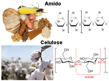 O amido e a celulose são exemplos de carboidratos que são polímeros naturais
