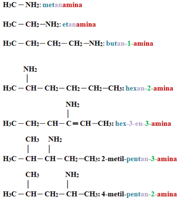 Exemplos de aminas