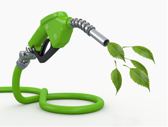 Os biocombustíveis são limpos por não interferirem no ciclo do carbono