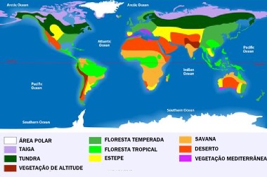 Mapa dos biomas pelo mundo