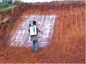 Uso de cal hidratada em agricultura para corrigir pH do solo