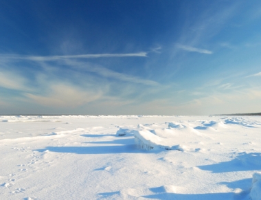 Exemplo de um deserto polar