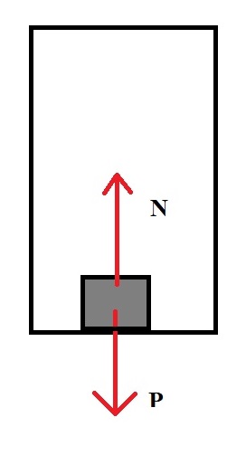 No elevador em movimento retilíneo uniforme, N=P