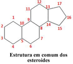 Estrutura comum aos esteroides