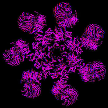 Representação da estrutura quaternária de uma proteína