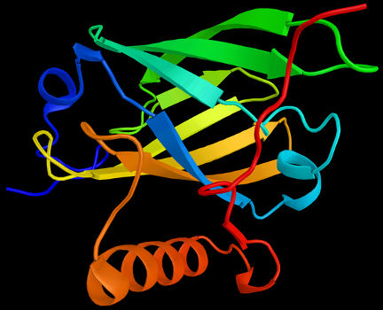 Representação da estrutura terciária de uma proteína