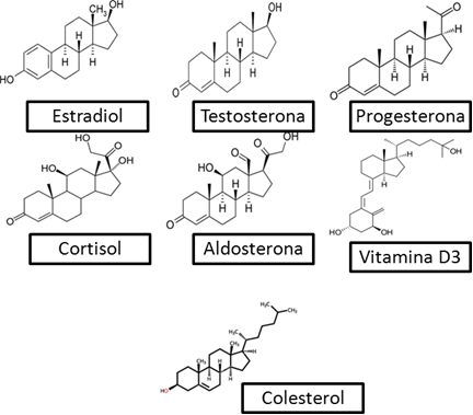 Exemplos de esteroides de sete classes diferentes