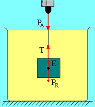 Representação das forças exercidas sobre o bloco totalmente imerso no líquido