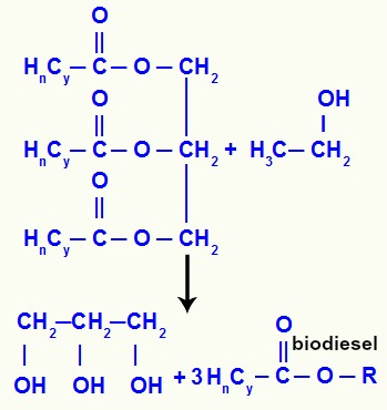 Equação de formação do biodiesel e do glicerol