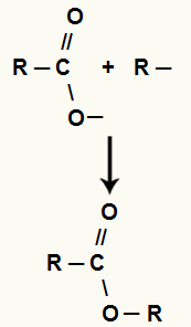 Equação representando a formação do éster entre um álcool e um ácido carboxílico