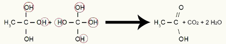 Formação do produto a partir da oxidação energética do propino