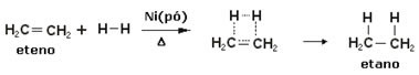 Exemplo de reação de hidrogenação. 