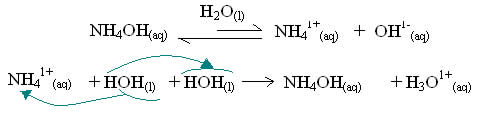 hidrolise salina da base fraca, hidróxido de amônio
