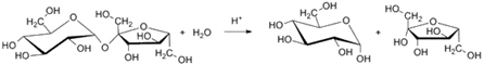 Síntese de hidrólise da sacarose para a formação do açúcar invertido