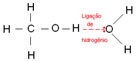 Ligação de hidrogênio entre molécula de água e etanol