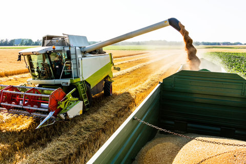 Na agricultura intensiva, a mecanização é utilizada em todas as etapas da produção, desde a preparação do solo até a colheita