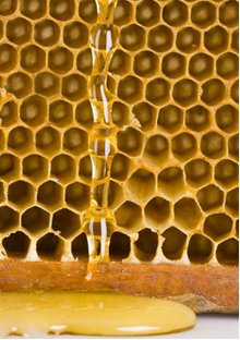 O mel é composto principalmente de açúcar invertido