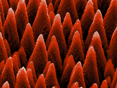 Imagem de microestrutura de Silício gerada com Microscópio de Força Atômica (AFM)