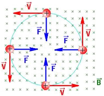 Para α = 90°, a carga elétrica realiza movimento circular uniforme em um plano perpendicular às linhas de campo