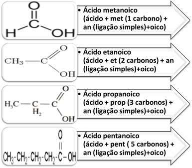 Exemplos de nomes de alguns ácidos carboxílicos