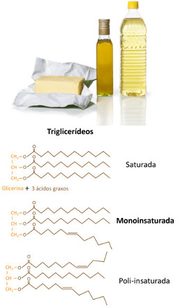 Os óleos e as gorduras são lipídios (glicerídeos) que são polímeros naturais