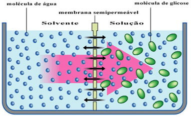 Processo de osmose no sentido do solvente puro para a solução
