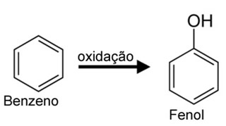 Esquema de oxidação do benzeno em fenol