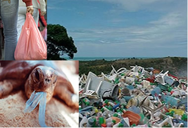 Os plásticos se tornaram um grande problema para o meio ambiente