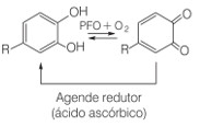 Redução da quinona para a forma fenólica pela ação do ácido ascórbico como agente redutor