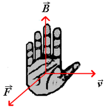 Com a mão direita, apontamos os dedos na direção do campo, e o polegar na direção da velocidade da carga. A palma da mão apontará para a direção da força