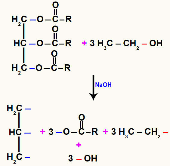 Rompimento das ligações nos reagentes de uma transesterificação.