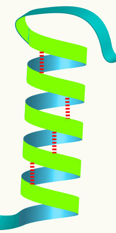 Representação da estrutura secundária de uma proteína