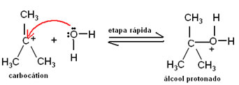 Segunda etapa do mecanismo de reação de hidratação do metilpropeno. 