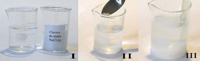 Ao se adicionar 50 g de sal em 100 g de água à temperatura de 20°C, obtém-se uma solução saturada com corpo de fundo. 