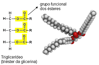 Fórmula estrutural do triglicerídeo