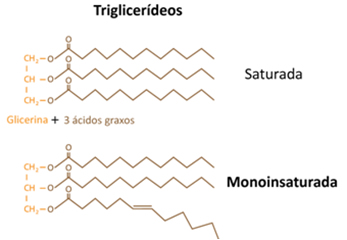 Os triglicerídeos com cadeias saturadas formam os óleos